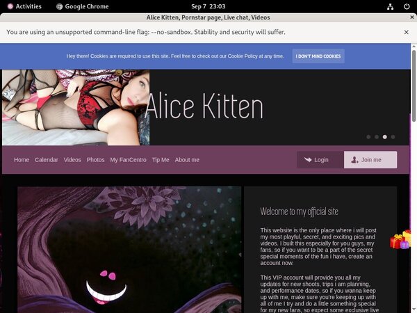 Alice Kitten Rocketgate