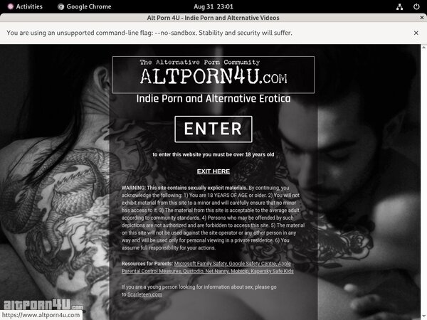 Alt Porn 4 U Passes