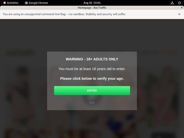 Asstraffic.com Purchase