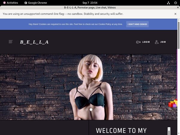 B-E-L-L-A Password Blog