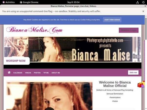 Biancamalise.modelcentro.com Paysite Passwords