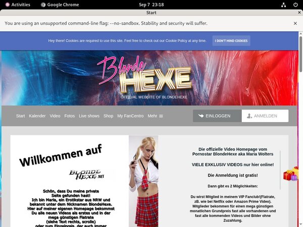 BlondeHexe Password Blog
