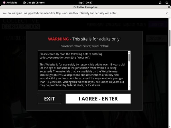 Bypass Collectivecorruption.com