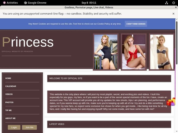 Cardboard.modelcentro.com Discount Trial Link