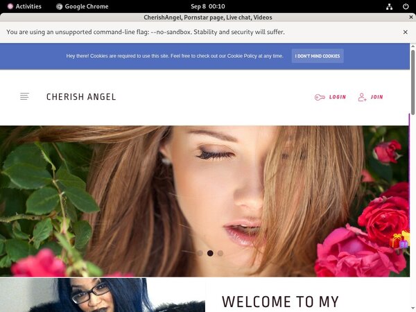 CherishAngel Login Generator