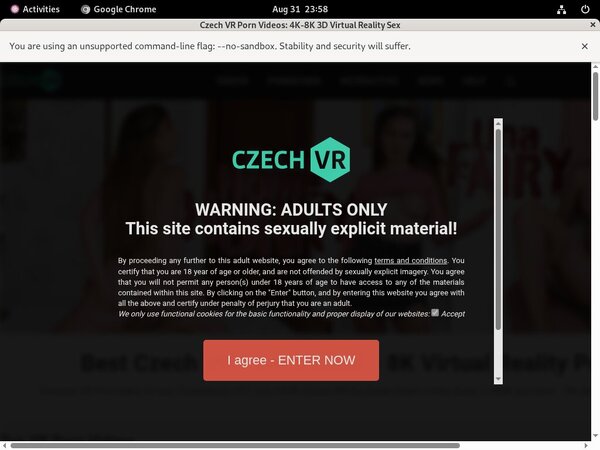 Czech VR Renew Password