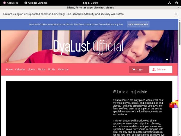 Dyalust.modelcentro.com Passwords 2017