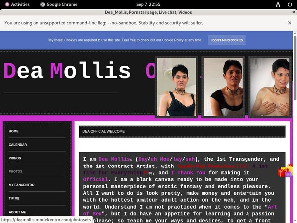 Free Deamollis.modelcentro.com Trial Account