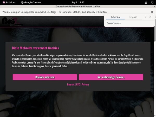 Free Lana Giselle Username And Password