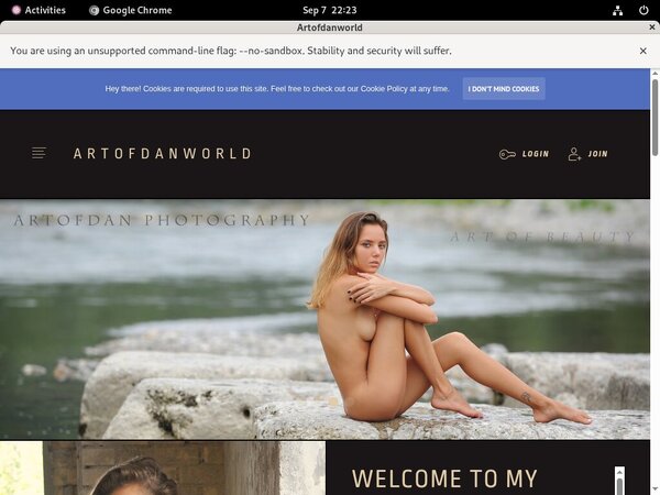 Free Logins For Artofdan