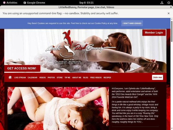 Free Passwords LittleRedBunny