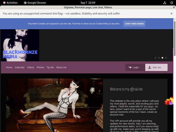 Free Working Gigixxxs Logins