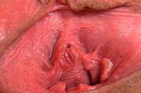 Gape My Pussy ??? ??? s0