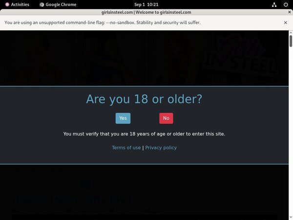 Girlsinsteel.com Password Site