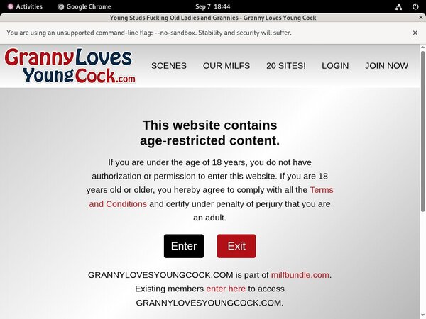 Granny Loves Young Cock Android