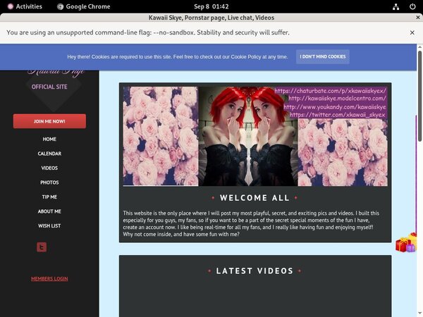 Kawaiiskye.modelcentro.com Account Trial