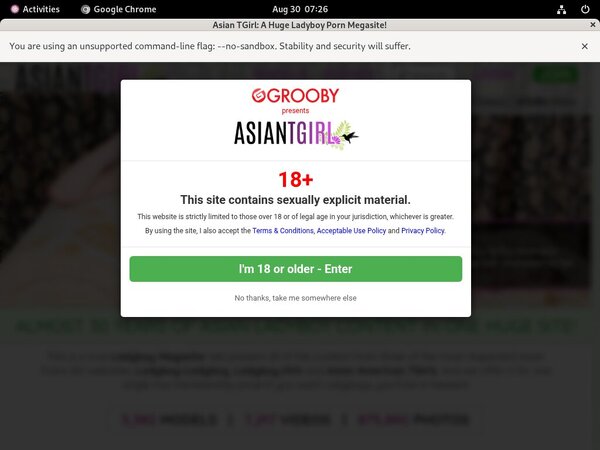 Ladyboy Ladyboy Collection