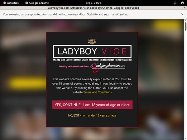 Ladyboy Vice Free Hd Videos