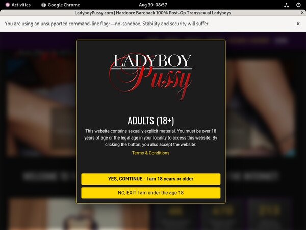 Ladyboypussy.com With Bank Account