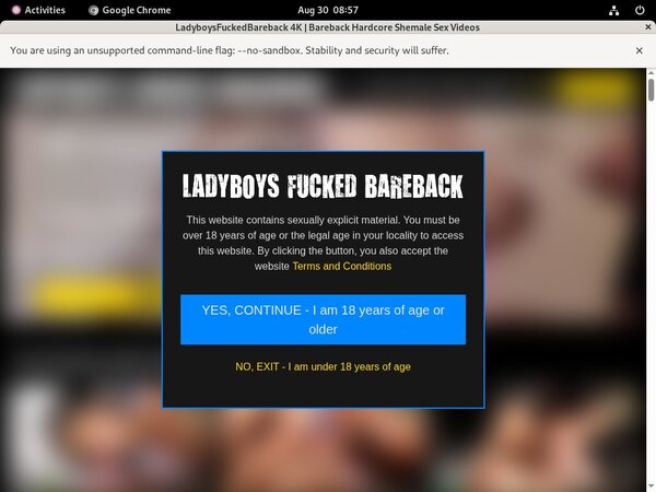 Ladyboysfuckedbareback Verotel Discount