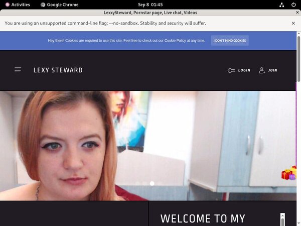 Lexxysteward.modelcentro.com Working Account