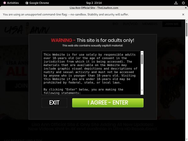 Lisa Ann Code
