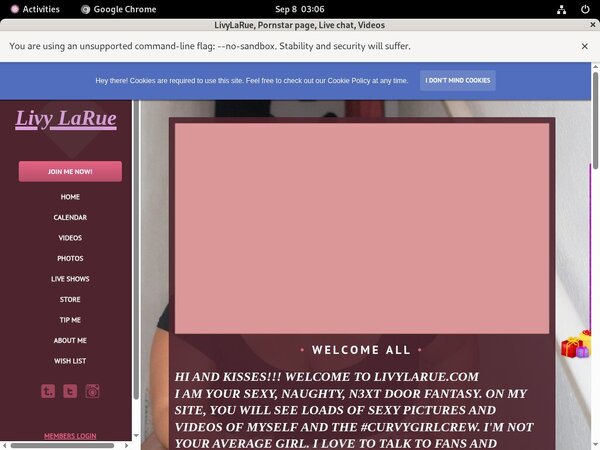Livylarue.modelcentro.com Deals
