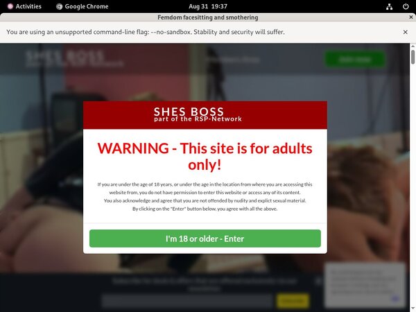 Login For Shesboss.com