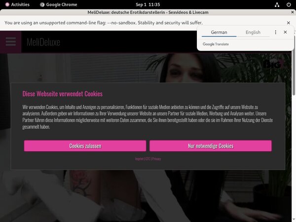 Meli Deluxe Paysite Passwords