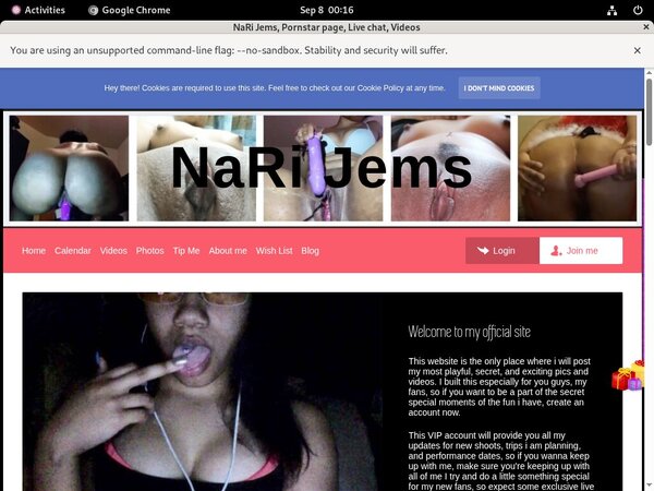 NaRi Jems Webcams