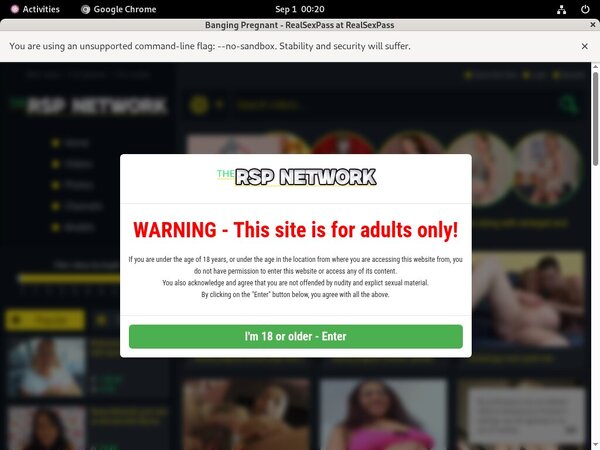 New Bangingpregnant Porn