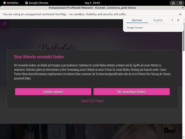 Parkplatzluder19 Full Account