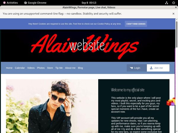 Passwords AlainWings Free