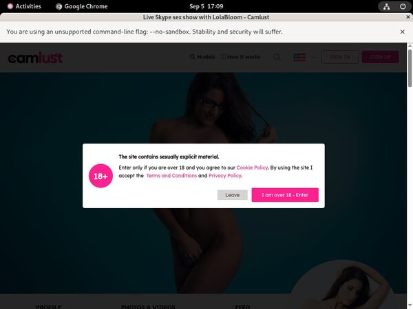Paypal LolaBloom?