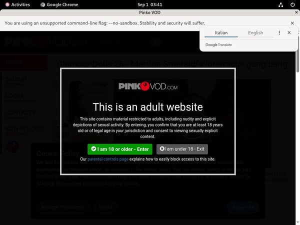 Pink O VOD Passwords 2018