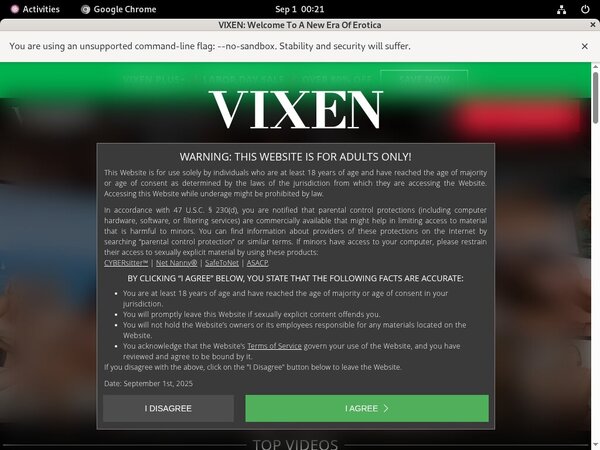 Premium Vixen Accounts