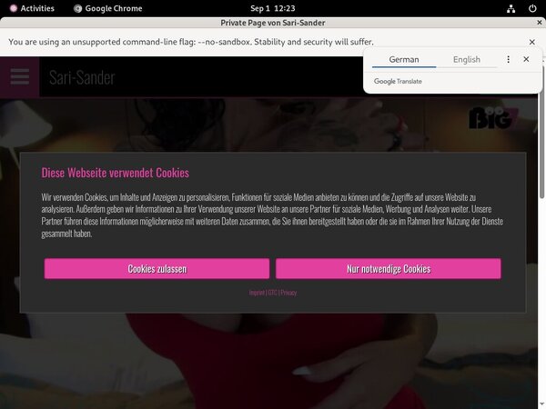 Sari-sander.com Twitter