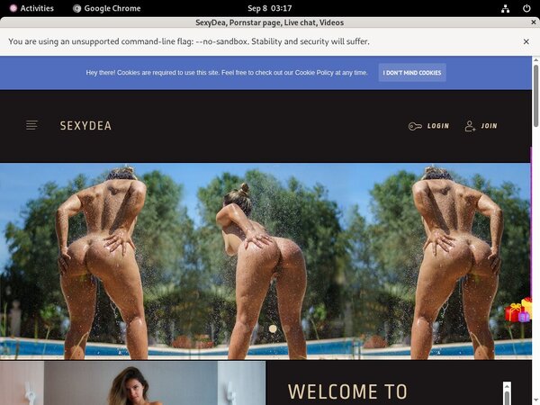 SexyDea Premium Password