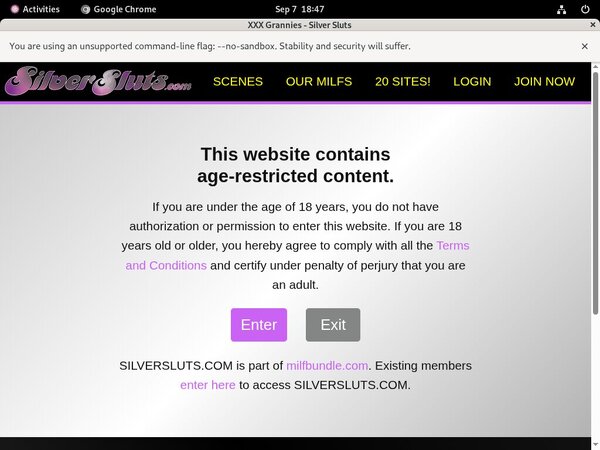 Silversluts Premium Acc