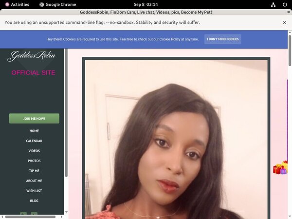 Site Rip Robinbossy