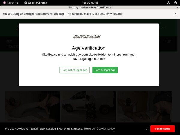 Sketboy.com Bezahlen