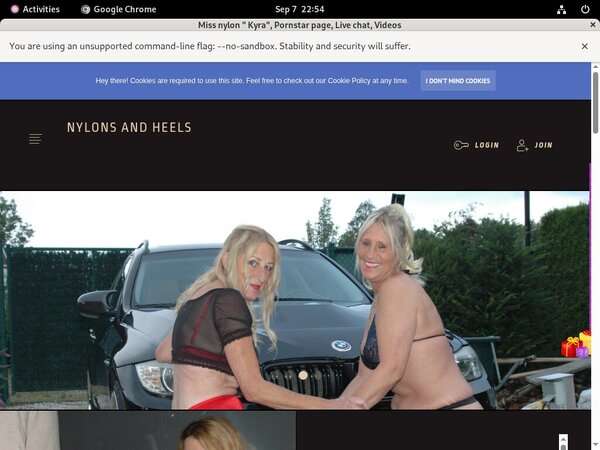 Stockingsandhighheels Renew Membership