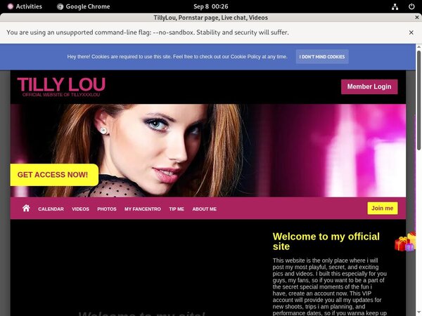 TillyLou Accept Paypal