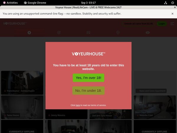 Voyeur House Porn Review