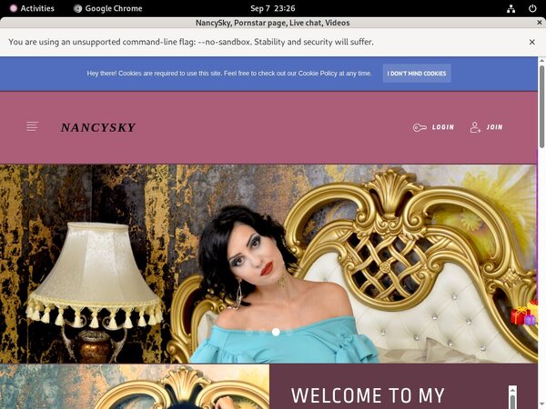 Where To Get Free NancySky Account