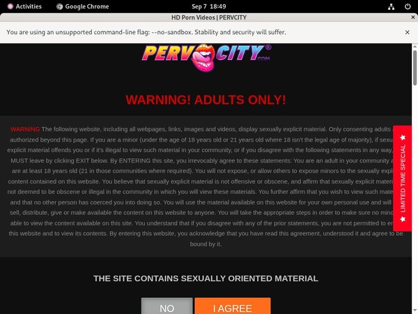 X Videos Perv City