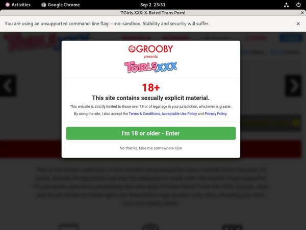 Contas Premium Tgirls