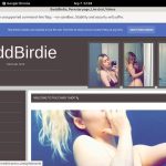 BaddBirdie Discount Special