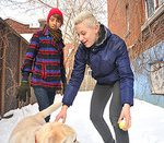 Beddable Boys GXBill