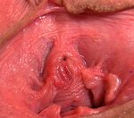 Gape My Pussy ??? ???